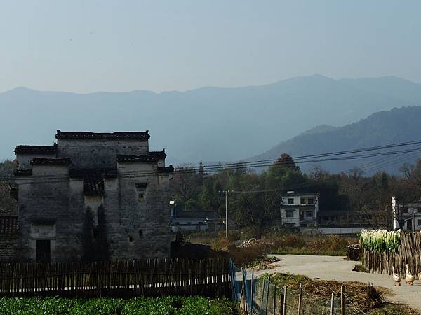 DSCN1259 DSCN1259