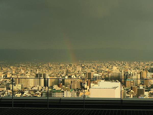 DSCN7239 DSCN7239