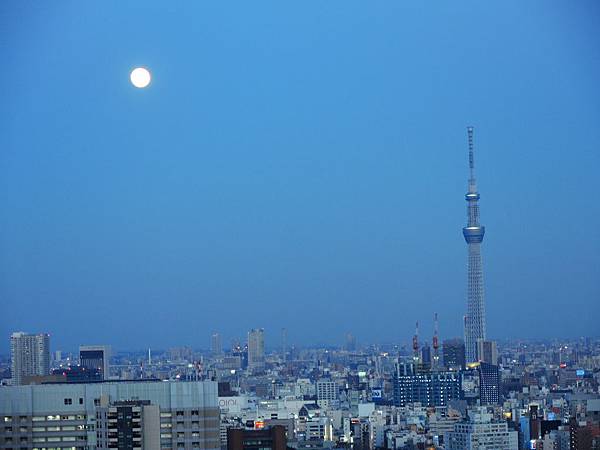 DSCN8434 DSCN8434