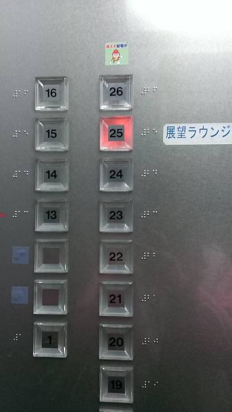 IMAG5263 IMAG5263