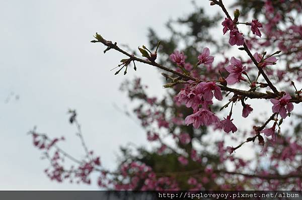 DSC_0016.JPG DSC_0016.JPG