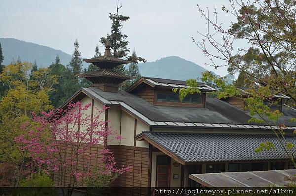 DSC_0031.JPG DSC_0031.JPG