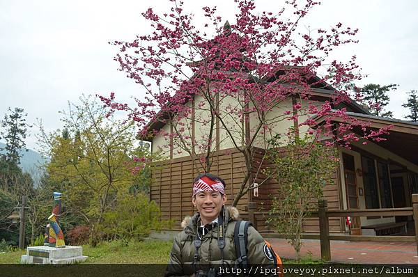 DSC_0034.JPG DSC_0034.JPG