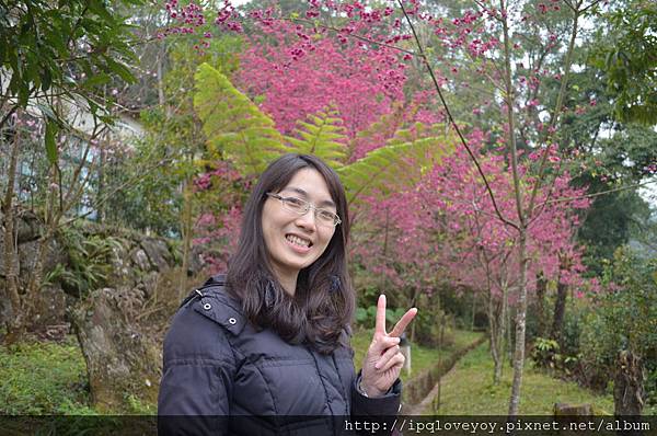 DSC_0036.JPG DSC_0036.JPG