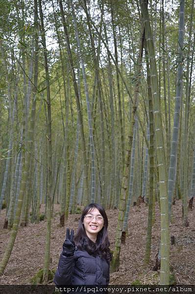 DSC_0039.JPG DSC_0039.JPG