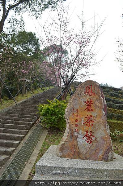 DSC_0045.JPG DSC_0045.JPG