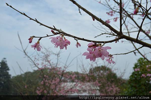 DSC_0047.JPG DSC_0047.JPG