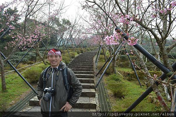 DSC_0050.JPG DSC_0050.JPG