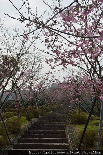 DSC_0052.JPG DSC_0052.JPG