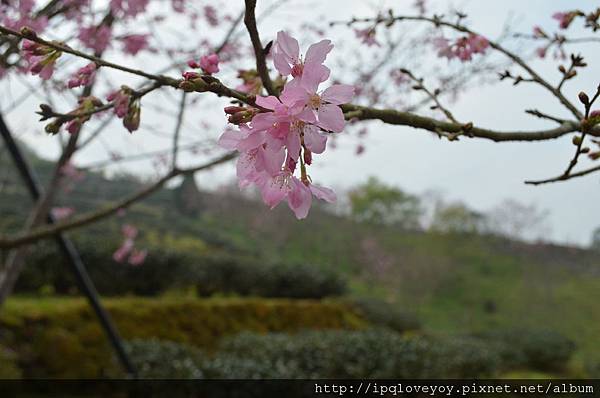 DSC_0054.JPG DSC_0054.JPG