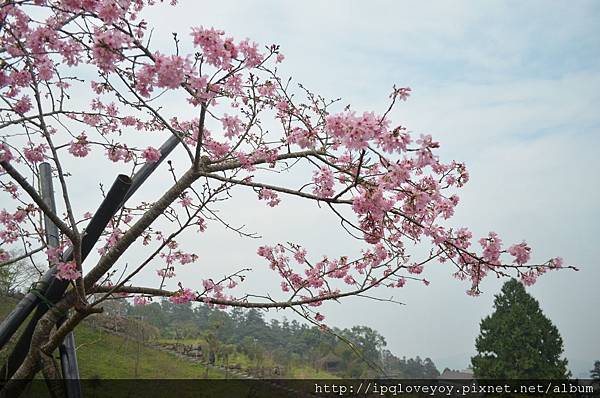 DSC_0057.JPG DSC_0057.JPG