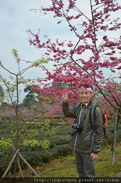 DSC_0063.JPG DSC_0063.JPG