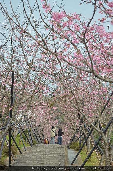 DSC_0070.JPG DSC_0070.JPG