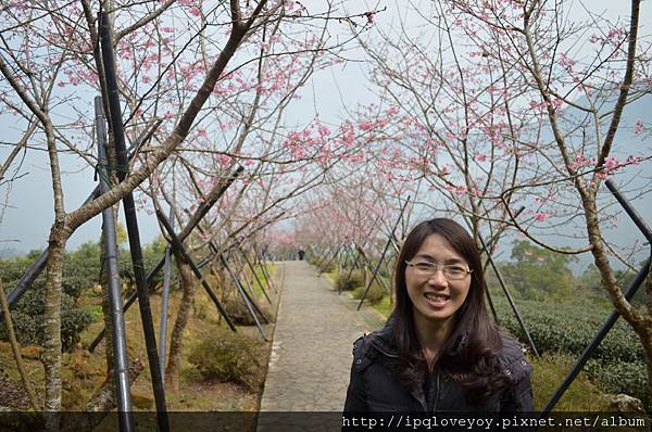 DSC_0080.JPG DSC_0080.JPG