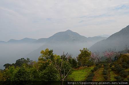 DSC_0101.JPG DSC_0101.JPG