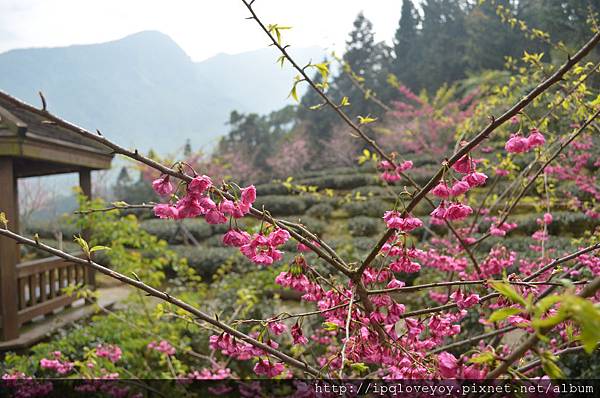 DSC_0109.JPG DSC_0109.JPG