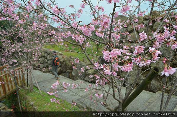 DSC_0119.JPG DSC_0119.JPG