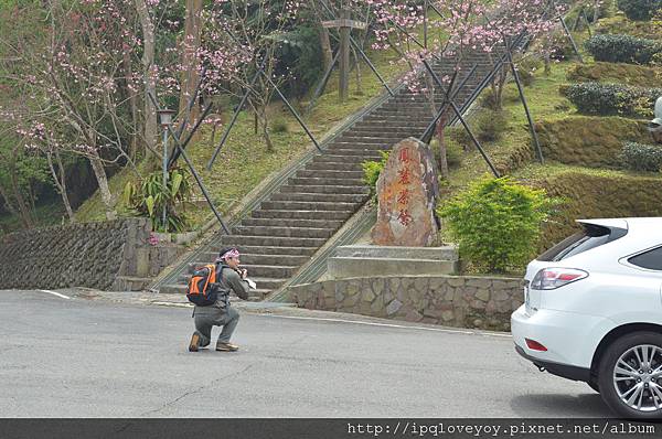 DSC_0130.JPG DSC_0130.JPG