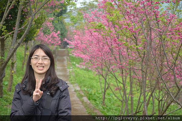 DSC_0142.JPG DSC_0142.JPG