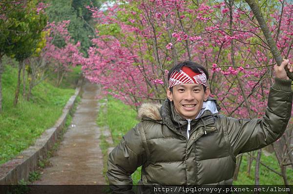 DSC_0145.JPG DSC_0145.JPG