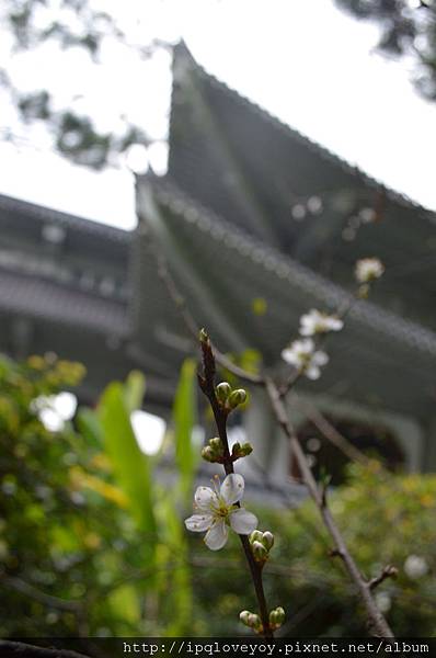 DSC_0191.JPG DSC_0191.JPG