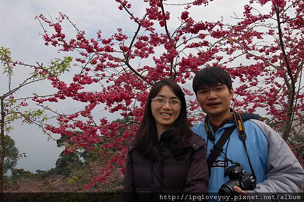 DSC_2114.JPG DSC_2114.JPG