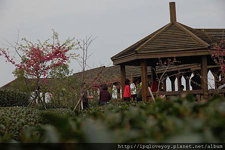 DSC_2122.JPG DSC_2122.JPG