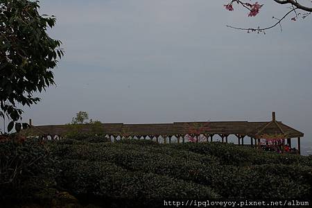 DSC_2134.JPG DSC_2134.JPG