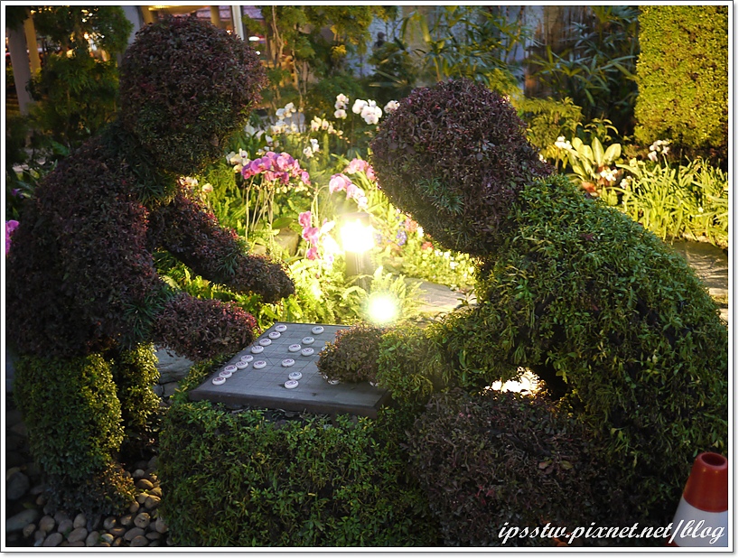 P1000785.JPG P1000785.JPG