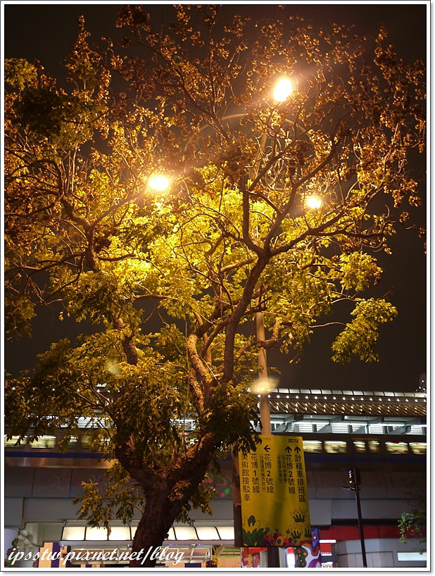 P1000859.JPG P1000859.JPG