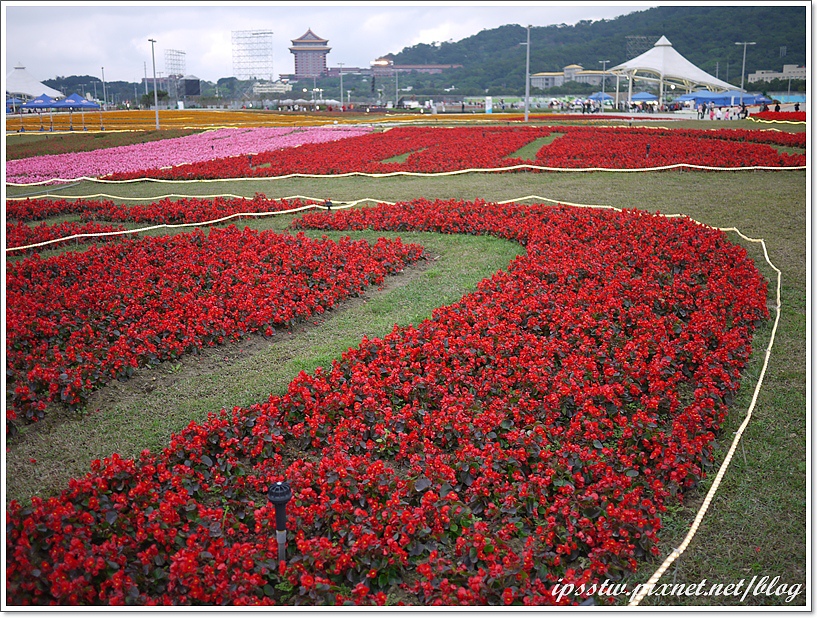 P1000741.JPG P1000741.JPG