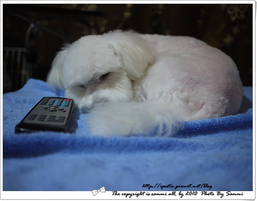 P1000048.JPG P1000048.JPG