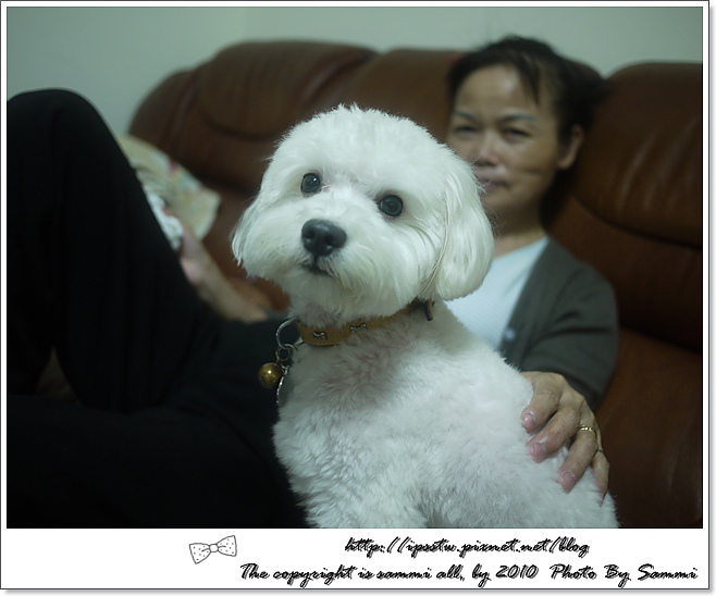 P1000034.JPG P1000034.JPG