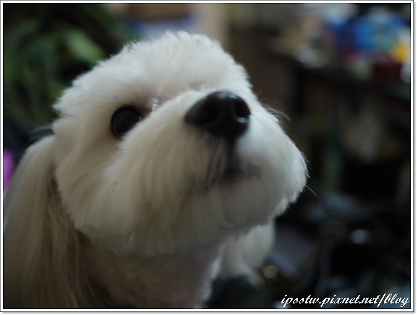 P1000729.JPG P1000729.JPG