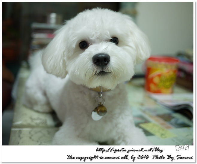 P1000025.JPG P1000025.JPG