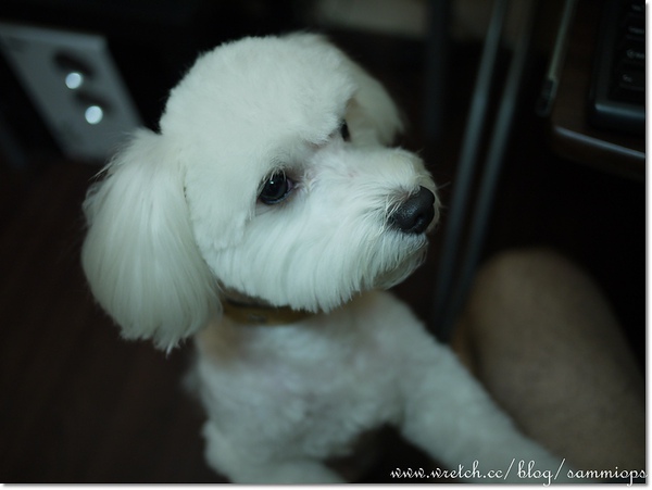 P1000051.JPG P1000051.JPG