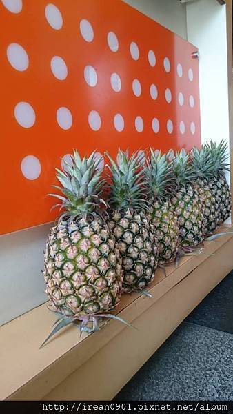 11160333_1048886111792763_405016322_n