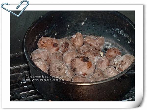 P1070007.jpg P1070007.jpg