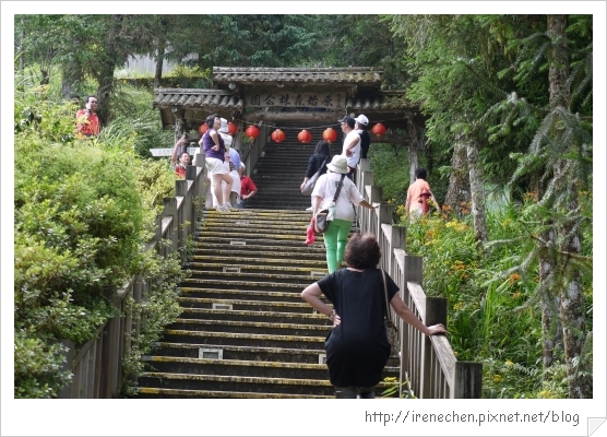 太平山12-原始森林公園.jpg 太平山12-原始森林公園.jpg
