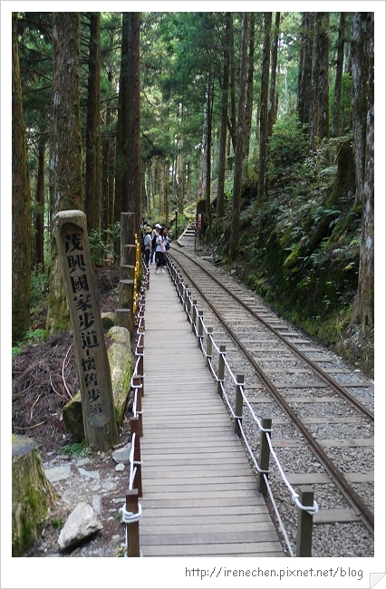 太平山28-茂興國家步道.jpg 太平山28-茂興國家步道.jpg