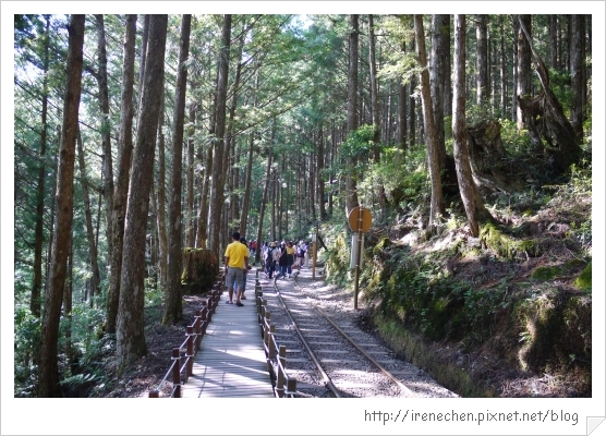 太平山30-茂興國家步道.jpg 太平山30-茂興國家步道.jpg