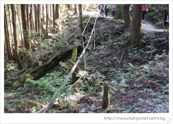 太平山34-損毀的舊木棧橋.jpg 太平山34-損毀的舊木棧橋.jpg