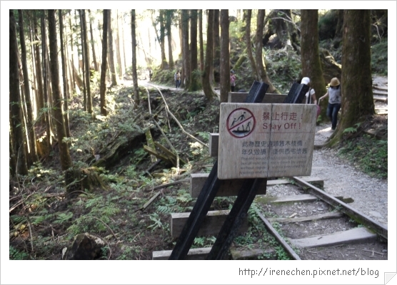 太平山35-損毀的舊木棧橋.jpg 太平山35-損毀的舊木棧橋.jpg