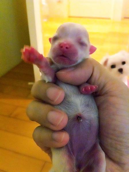 IMG_2357.JPG IMG_2357.JPG