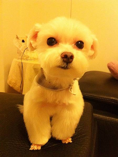 IMG_1445.JPG IMG_1445.JPG