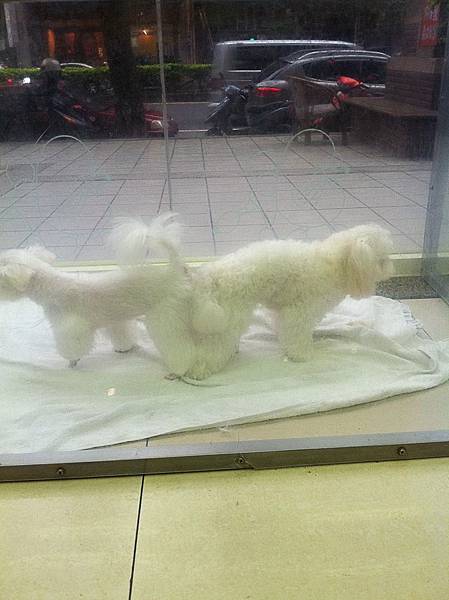 IMG_1603.JPG IMG_1603.JPG