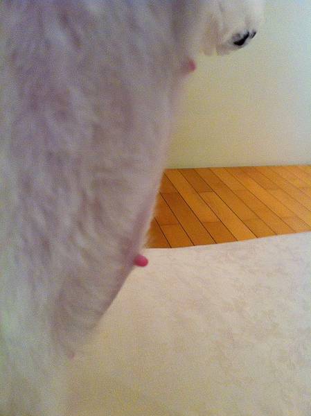 IMG_1993.JPG IMG_1993.JPG