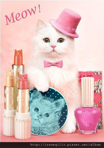 Paul-Joe-Kitten-Collection-spring-2012.jpg