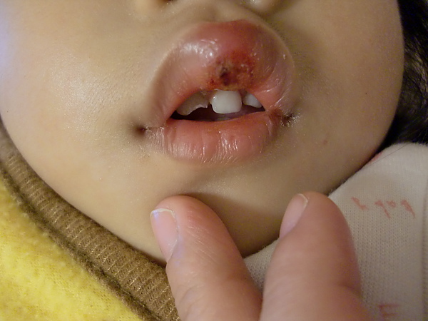 隔天(1/6)清晨拍的