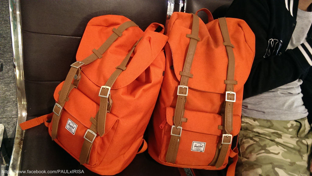 IMAG2422_副本 IMAG2422_副本